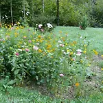 Chez Sylvie Haux (Pyrenees-Atlantiques)