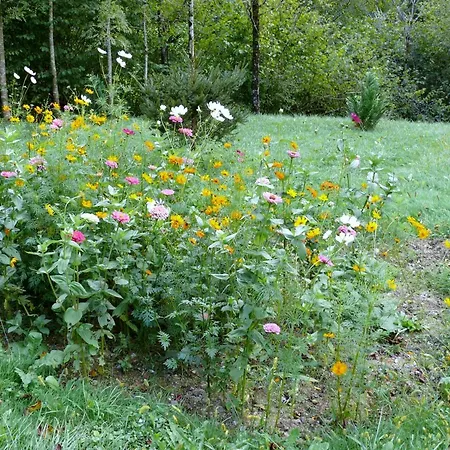 Chez Sylvie Haux (Pyrenees-Atlantiques)