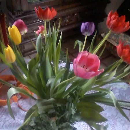 Chez Sylvie 3*