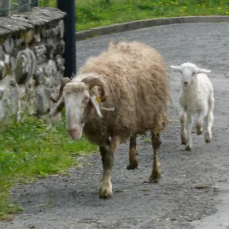Chez Sylvie 3* Haux (Pyrenees-Atlantiques)