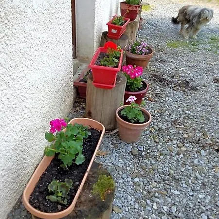 Chez Sylvie Bed and breakfast Haux (Pyrenees-Atlantiques)