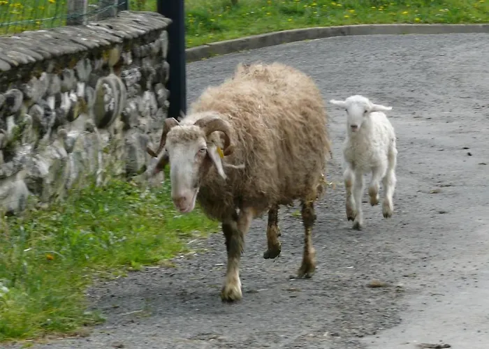 Chez Sylvie 3* Haux (Pyrenees-Atlantiques)