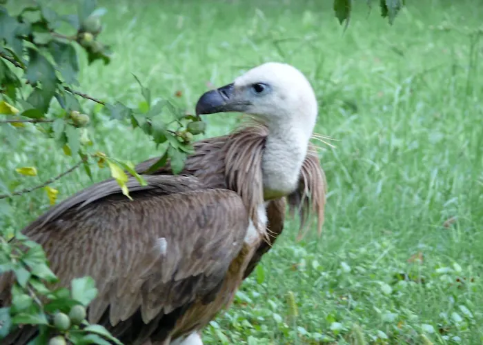 Chez Sylvie Oda ve Kahvaltı 3*