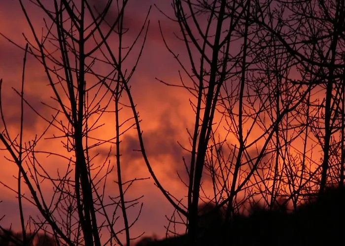 Chez Sylvie Bed & Breakfast 3*