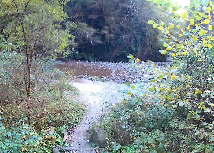 Chez Sylvie Oda ve Kahvaltı