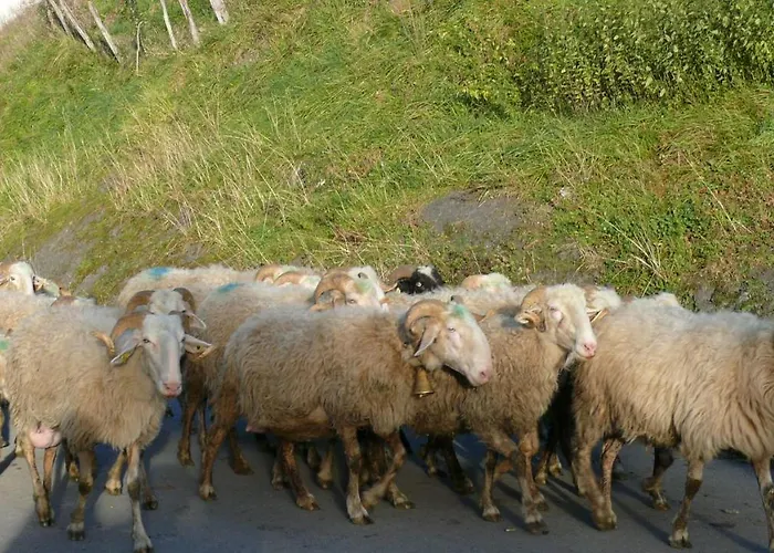 Chez Sylvie 3* Haux (Pyrenees-Atlantiques)